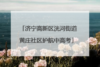 济宁高新区洸河街道黄庄社区护航中高考
